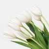 10-Stem Tulips - Good Little Garden™ - 3 of 3