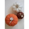 Shiraleah Assorted Set Of 3 Felt Fall Decorative Pumpkins - 2 of 4