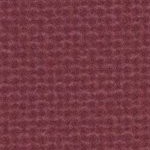 florida state seminoles athletic wordmark