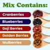 Organic Berries Paradise Mix - by Food To Live - 4 of 4