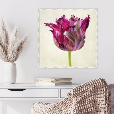Amanti Art Single Parrot Tulip II by Dianne Poinski Framed Wall Art Print