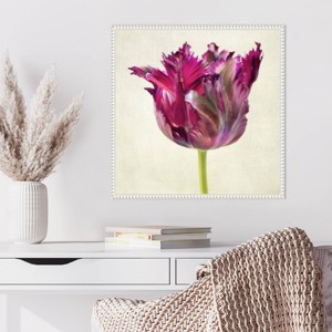 Amanti Art Single Parrot Tulip II by Dianne Poinski Framed Wall Art Print - 1 of 4