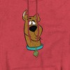 Scoobydoo Silly Pullover Hoodie - 2 of 4