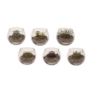 Transpac Glass 3.15 in. Clear Spring Faux Succulent in Container Set of 6 - 1 of 2