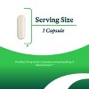 Seeking Health Zinc Carnosine, 16 mg Zinc L-Carnosine, Supports Healthy Immune System and Digestive Health, Antioxidant, Vegan (60 Capsules) - 3 of 4