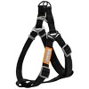 Racxily 2-in-1 Durable Nylon Dog Harness and Leash, with Soft Padded Handle,Escape Proof and Quick Fit to Adjust Dog Harness - 2 of 4