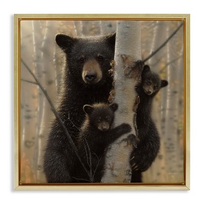 Stupell Industries Forest Black Bear and Cubs, 25" x 25"