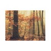 Trademark Fine Art Anton van Dongen Soft Fall Wood Slat Art - image 3 of 4