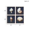 Gulches 4-Piece Framed Canvas Wall Art Set with Shell Photography - 2 of 4
