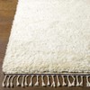 Hauteloom Birdwell Wool Living Room, Bedroom Area Rug - Bohemian, Transitional - High Pile - 2 of 4