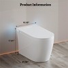 Vipbear smart toilet, built-in bidet, warm air drying, automatic lid opening, wireless remote control - 2 of 4