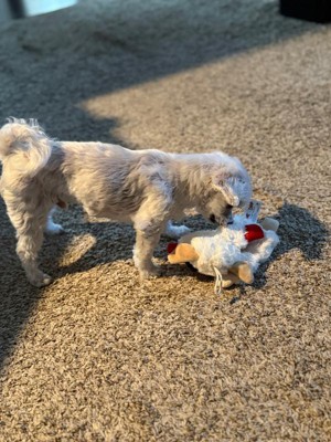 Guest review image 2 of 4, zoom in