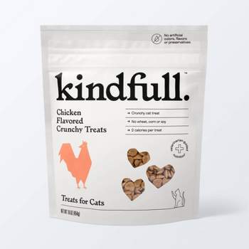 Crunchy Chicken Flavor Cat Treat - 16oz - Kindfull™