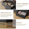 6 Drawer Dresser with Wide Storage, Wood Dresser Chest Organizer with Metal Legs, Modern Dressers & chests of Drawers for Bedroom, Living Room - 4 of 4