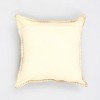 Chery Life Stonewashed Cotton Velvet Throw Pillow with Decorative Handstiched Edges-19X19" - 3 of 4