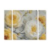 Lisa Audit 'Sunshine' Multi Panel Art Set Large - 2 of 3