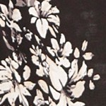 black printed