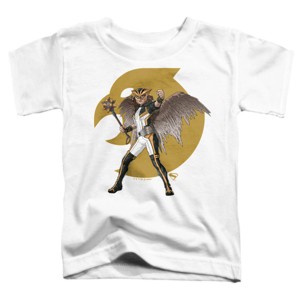 Toddler Boys' Superman 2025 Hawkgirl T Shirt - 1 of 4