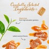 Bigelow Salted Caramel Black Tea case of 6/18 - 2 of 4