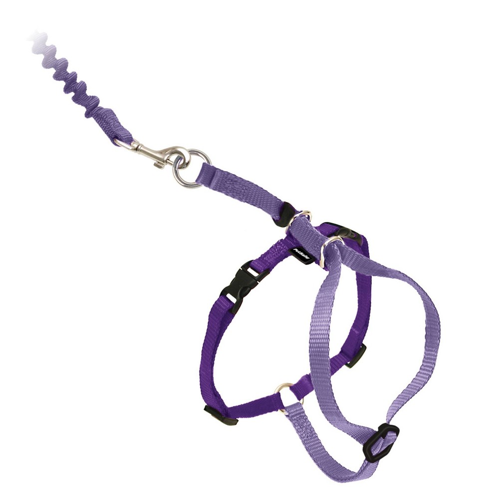 Photos - Collar / Harnesses PetSafe Come with Me Kitty and Bungee Adjustable Leash Cat Harness - L - L 