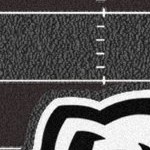georgia bulldogs uga