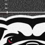 georgia bulldogs uga
