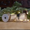 Melrose Wired Polyester Ribbon 2.5" x 10 yds. (Set of 3) - 3 of 3