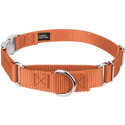 Country Brook Petz Heavyduty Nylon Martingale with Premium Buckle