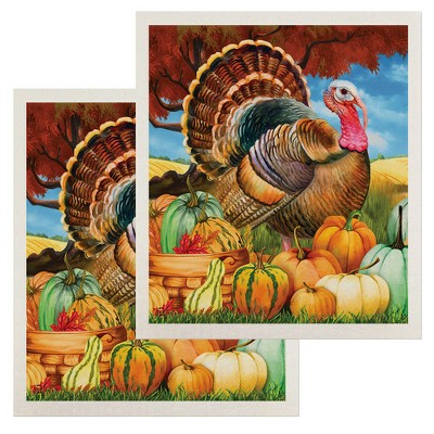 Briarwood Lane Turkey and Pumpkins Swedish Dishcloth (2-pack)