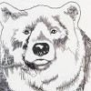 C&F Home 18" x 18" Bear Portrait Indoor / Outdoor Embroidered Throw Pillow - 2 of 4