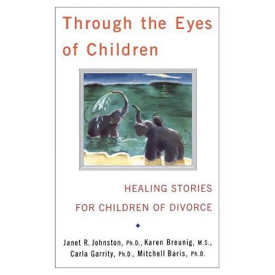 Through the Eyes of Children - by  Carla Garrity & Mitchell Baris & Karen Breunig & Janet R Johnston (Paperback)