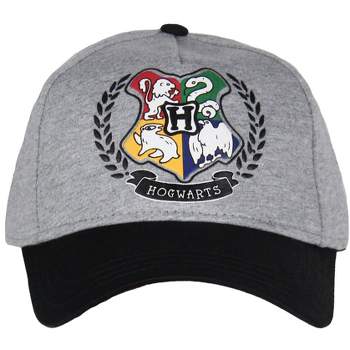 Harry Potter Hogwarts Crest Four House Shield Snapback Hat Youth Size 4-14 Grey