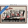 Trends International IT: Welcome to Derry (2025) - Greetings From Derry Framed Wall Poster Prints - 3 of 4