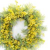 Melrose Fern and Mimosa Wreath 27"D - 2 of 2