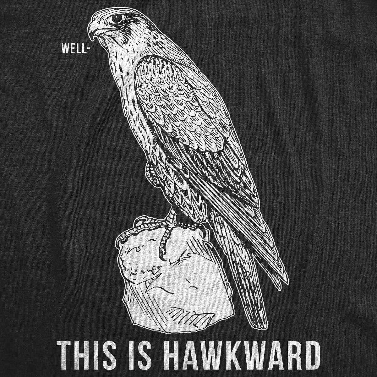 Мужские футболки Crazy Dog T-Shirts, Inc. Mens Well This Is Hawkward T Shirt Funny Hawk Bird Awkward Tee - Crazy Dog Men's T Shirt for Animal Lovers Black M — фото 2