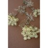 Artificial Lace Flower Spray 34"L – White Textured Botanical Stem, Set of 6 by Kalalou - 3 of 4
