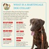 Country Brook Petz HossFit Jr Wide Martingale Dog Collar - Camouflage Collection - 4 of 4
