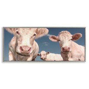Stupell Industries Three White Cows, 24" x 10" - 1 of 4