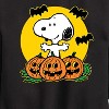 Boys' - Peanuts - Snoopy Pumpkin Patch Graphic Long Sleeve Fleece Sweatshirt - 2 of 4