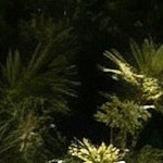 11 pcs-80'' rectangular table