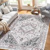 Acekool Washable Vintage Oriental Area Rug, Stain-Resistant Non-Slip Soft Low Pile Carpet for Bedroom, Living Room, Dining, pink4x6 - 3 of 4