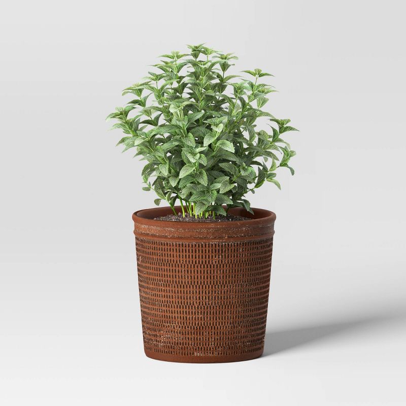  Weathered Texture Ceramic Indoor Outdoor Novelty Planter 1 Planter Pot Brown - Threshold™, 4 of 6