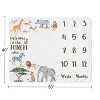 Sweet Jojo Designs Gender Neutral Baby Milestone Blanket Jungle Animals Multicolor - 3 of 4