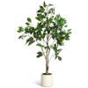 4/5/6/7FT Artificial Ficus Tree with Black Planter - Realistic Wood Trunk, Green Moss & Fruits for Home/Office Decor - 2 of 4