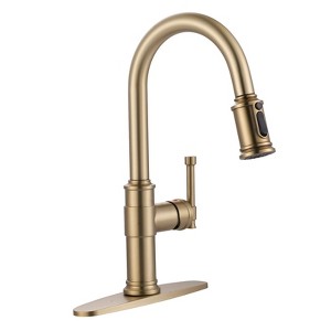 WOWOW 16.2 in. Single Handle Pull Down Sprayer Kitchen Faucet with 360° Spout Swivel - 1 of 4