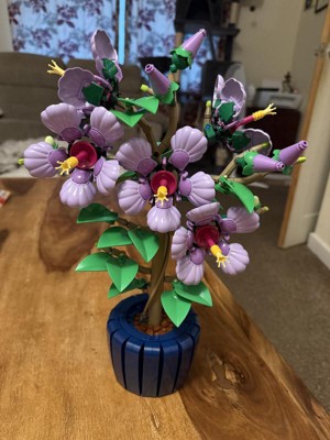 Guest review image 2 of 2, zoom in