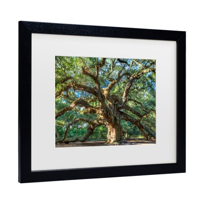 Trademark Fine Art -Pierre Leclerc 'Angel Oak Charleston' Matted Framed Art