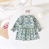 MyKids-USA Baby Girl Floral Print Pattern Doll Neck A-Line Design Dress - 4 of 4