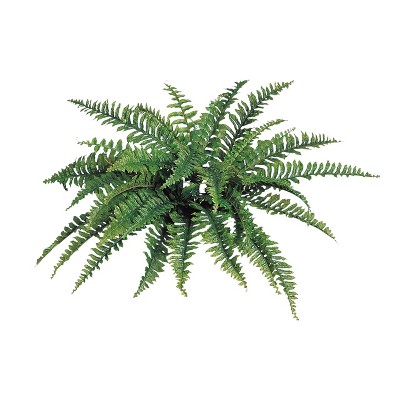 Floral Home 34" Wide Boston Fern with 42 Lifelike Fronds - 6-Piece