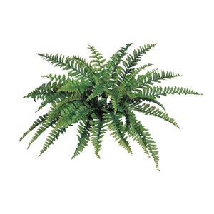 Floral Home 34" Wide Boston Fern with 42 Lifelike Fronds - 6-Piece - 1 of 4